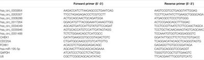 Identification of a Novel Survival-Related circRNA–miRNA–mRNA Regulatory Network Related to Immune Infiltration in Liver Hepatocellular Carcinoma